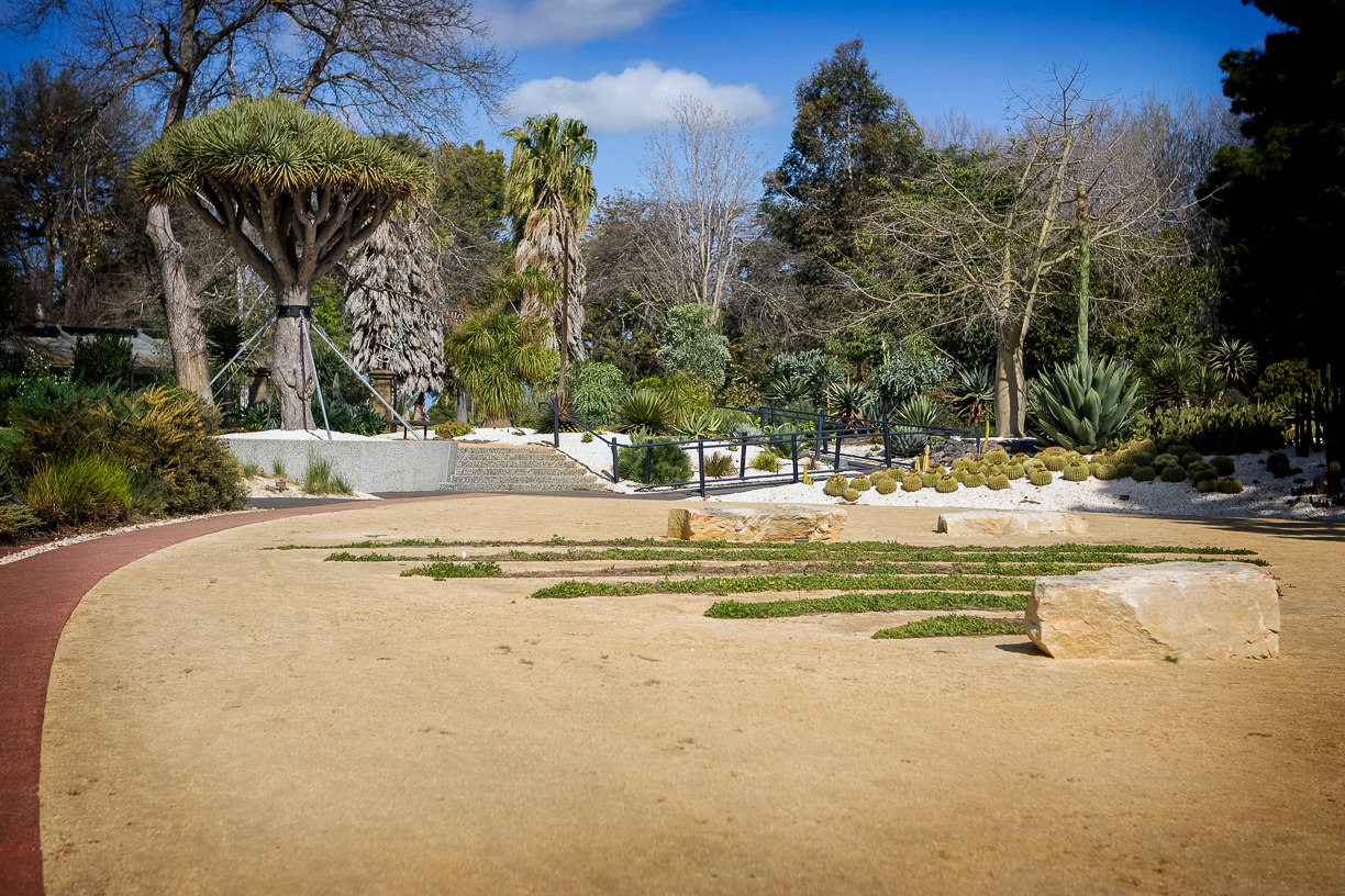 Geelong Botanic Garden 21st Century -4